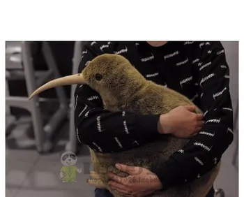 Doprava zadarmo 2018 nový Príchod Vták Kiwi Plyšové Hračky Simulácia Plyšové zvieratko plyšové hračky 3 veľkosti pre vybrať